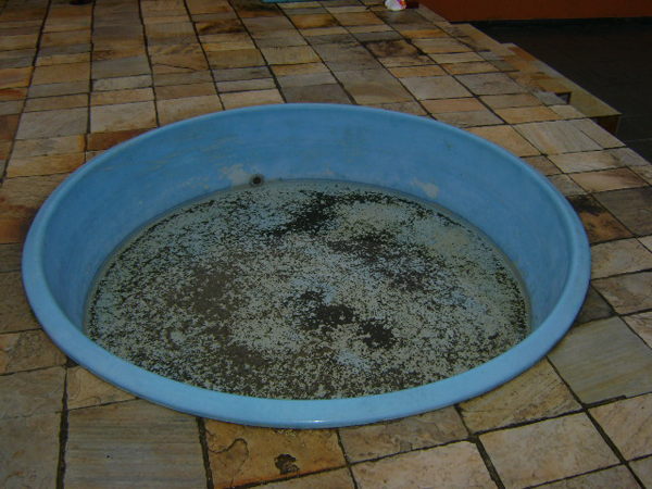 img-produto-grande